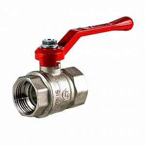 ���� ������� ��������